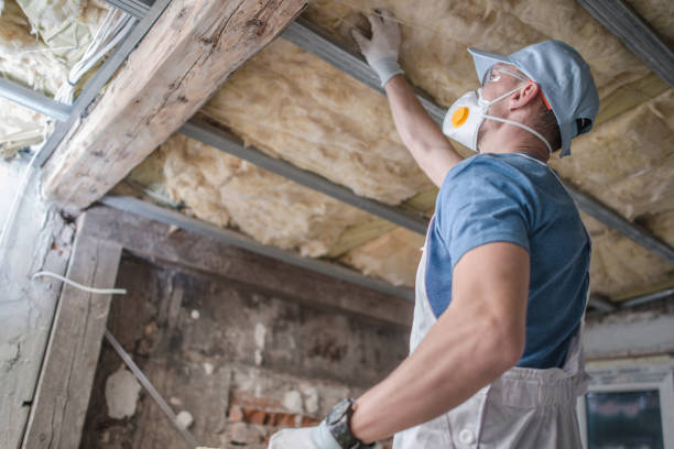 Best Attic Insulation Installation  in Coconut Creek, FL