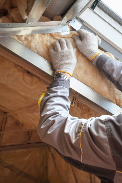 Best Blown-In Insulation  in Coconut Creek, FL